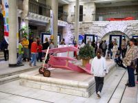 ogłądający wystawę