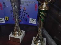 Nagrody za I miejsce w konkursie wokalnym za BAŚNIOGRÓD i II miejsce w kategori tanecznej za układ SZMARAGDOWE MIASTECZKO