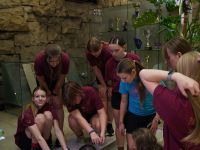 Dzieci wykonujące zadanie  podczas gry terenowej