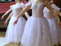 zespół taneczny baletu na scenie