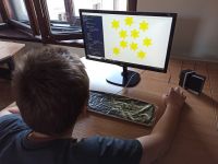 dziecko tworzące żonkile w programie Python